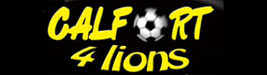 Calfort 4 lions